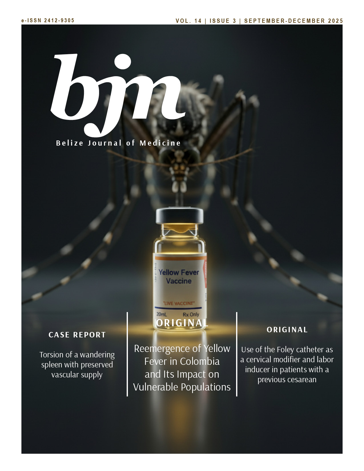 					View Vol. 14 No. 3 (2025): September-December
				